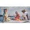 Seaduction Yacht Charter